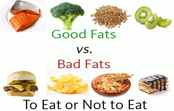 types of fat in foods